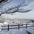 2924-2.jpg