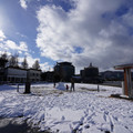2924-3.jpg