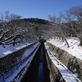 2925-1.jpg