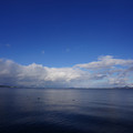 2927-1.jpg