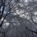 2927-2.jpg