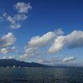2930-1.jpg