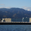 2930-2.jpg