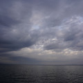 2931-3.jpg