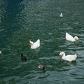 2932-1.jpg