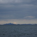 2932-3.jpg