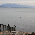 2933-1.jpg