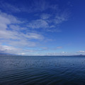 2935-1.jpg
