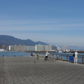 2936-3.jpg