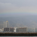 2938-1.jpg