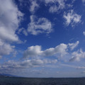 2939-1.jpg