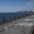 2939-2.jpg