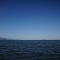 2939-3.jpg
