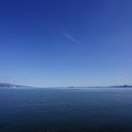 2941-1.jpg