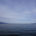 2941-3.jpg