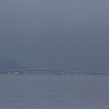 2942-1.jpg