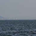 2942-2.jpg