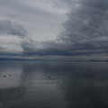 2943-3.jpg