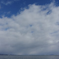 2944-1.jpg