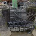 2944-2.jpg