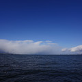 2944-3.jpg
