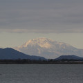 2946-1.jpg