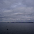 2946-2.jpg