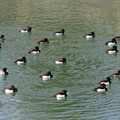 2947-1.jpg