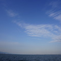 2947-3.jpg