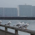 2948-3.jpg