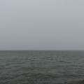 2951-2.jpg