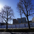 2952-3.jpg