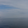 2953-1.jpg
