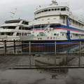 2954-1.jpg