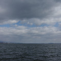 2955-1.jpg