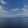 2956-1.jpg