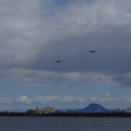 2956-2.jpg