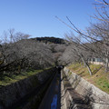 2957-1.jpg