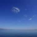 2958-1.jpg