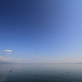 2959-1.jpg