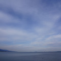 2959-3.jpg
