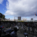 2960-1.jpg