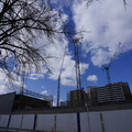 2961-1.jpg