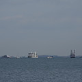 2962-1.jpg