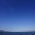 2963-3.jpg