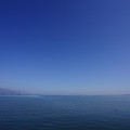 2964-1.jpg