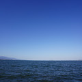 2964-3.jpg