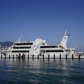 2969-1.jpg