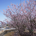 2972-1.jpg