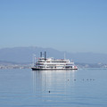 2973-1.jpg